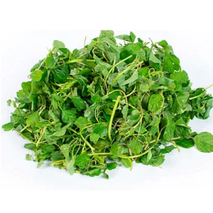 GREEN SPINACH, AMARANTH SEEDS, RAU DỀN CƠM , 绿菠菜 | 99% GERMINATION | - Picture 1 of 5