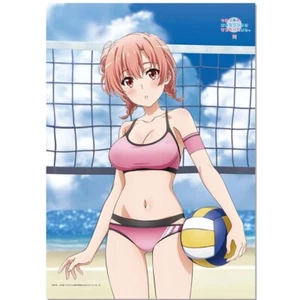 Póster de tela tapiz bola de playa My Teen comedia romántica SNAFU Yui Yuigahama B2 - Imagen 1 de 1