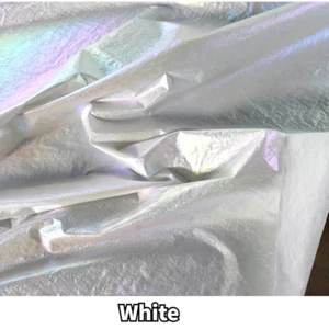 Symphony Laser Nylon Fabric Crepe Gradient for Down Jacket DIY Trims Costume Sew - Picture 1 of 12