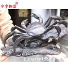 Chinese Bronze auspicious river crab get rich Money Coin Fengshui Wealth Statue