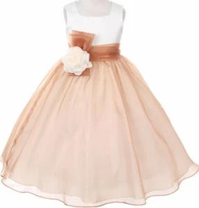 Vestido sin mangas marfil champán satinado organza niñas flor moño faja - Imagen 1 de 4
