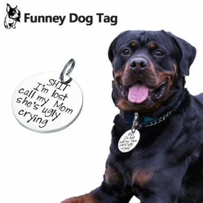 Divertido Guitarrista Mascota Perro Disfraces Cachorro Halloween Fiesta Disfraz Ropa Juegos con disfraces Foto 1 de 4