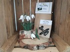 Snowdrops - Needle Felting Kit, Templates & Tutorial