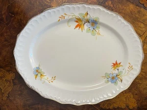 Vintage Swinnertons Staffordshire Luxor Vellum Serving Platter - Bild 1 von 2