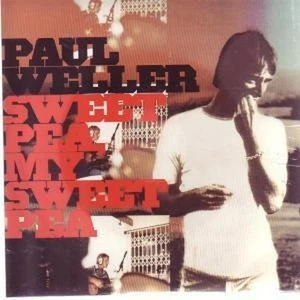 Paul Weller Sweet Pea Mein Sweet Pea CD UK Island 2000 Promo In Spezieller Karte - Bild 1 von 2