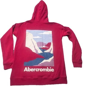 Abercrombie & Fitch Imagery Popover Hoodie Maroon Boys Size 15/16 - Picture 1 of 10