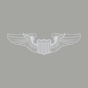 US Air Force Pilot Flügel Militär 1 Farbe Fenster Wand Vinyl Aufkleber Sticker - Bild 1 von 5