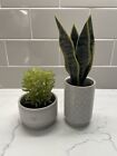 Target Bullseye Mini Potted Artificial Succulents, Set of 2
