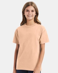 Hanes Youth 5450 Authentic Cotton Plain Blank T-Shirt Tee 12 PACK - Picture 1 of 19