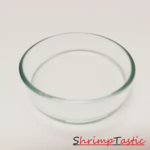 ShrimpTastic Futterschale aus Glas / extra hoch / für Futter Sticks - Bild 1 von 1