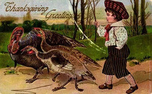 Postcard Thanksgiving Greetings Victorian Boy with Turkeys c1908 - Picture 1 of 2