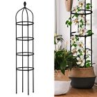 For Climbing Plant Trellis with Plastic Rings Enhance Your Garden's Beauty