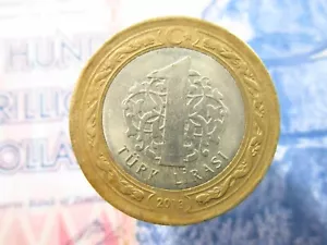 Turkey 1 Lira 2013 World Money Coin bh7k - Picture 1 of 2