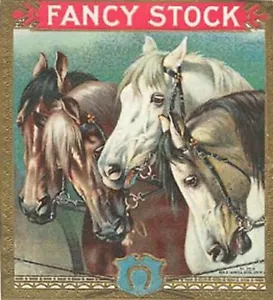 FANCY STOCK 4 BEAUTIFUL HORSES ANTIQUE CIGAR BOX LABEL T SHIRT SMALL-XXXLARGE F - Picture 1 of 1