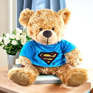 RARE Superman Teddy Bear Stuffed Animal Plush DC Comics Six Flags Vintage 10 in - Picture 1 of 5