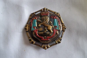 Lion Shield Brooch, 1950's 1960's Vintage Heraldic Lion Crest Crown - Picture 1 of 4