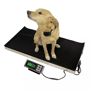 Large Veterinary Scale 700lb x 0.2lb Tree LVS 700 Livestock Animal Pet Vet Floor - Picture 1 of 2