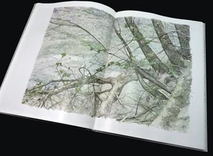 ARTIST SIGNED: AMEDEO BAUMGARTNER Plankton in Ton 1st HB DW 2005 BOTANICAL ART - Imagen 1 de 7