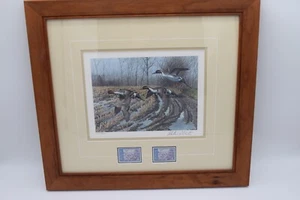 1988 New York State Duck Stamp And Print PinTails Dick Plasschaert  1035/14040 - Picture 1 of 8