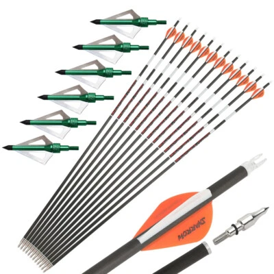 31" Noctilucent Archery Carbon Arrows Feathers Tips Recurve Compound Bow Hunting - Image 1 of 4