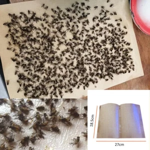 30Pcs Effective Sticky Paper Fly Traps Fruit Flies Insect Glue Catcher Easy Use - Picture 1 of 11