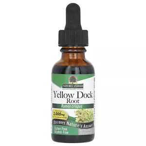 Yellow Dock Root, Alcohol-Free, 500 mg, 1 fl oz (30 ml) - Picture 1 of 2