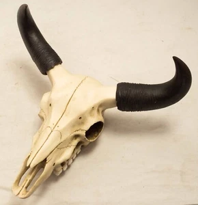 Wasserbüffel Totenkopf Wandskulptur, Wandbehang, Figur, Ornamente, Schädel 2794 - Bild 1 von 6