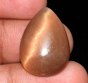 Pera Naturale Cabochon Marrone Occhio di Gatto 20,80 Ct/22 mm Pietra Preziosa Certificata B71746 - Foto 1 di 7