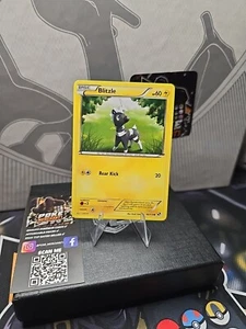 Pokémon TCG Blitzle Black & White 40/114 Regular Common - Bild 1 von 2