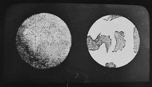 Magic Lantern Slide COMPARATIVE SIZES OF VENUS VS EARTH 1888 VICTORIAN ASTRONOMY - Picture 1 of 5