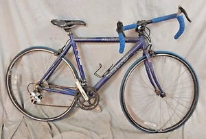 2015 Windsor Wellington 10 Touring Road Bike 54cm Small Shimano 14 SPD USA Ship! - Picture 1 of 18