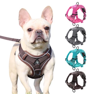 Escape-Proof Dog Harness Set with Leash Set Adjustable Soft Pet Walking Vest - Picture 1 of 16
