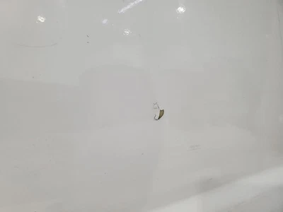 1992 2014 Ford E350 OEM Rear Slider Door With Glass White - Image 1 of 4