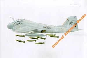 AVIATION ART GRUMMAN A-6E INTRUDER USMC VMA(AW) MCAS BOSNIA IRAQ AFGHANISTAN - Picture 1 of 1
