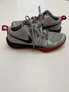 Men's Nike Lunarlon Flywire Lunar TR1 Buckeyes Ohio State RARE Size 11 - Picture 1 of 8
