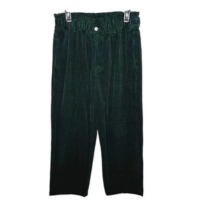 BlankNYC Corduroy Trouser Pant Paper Bag Wide Leg 31 Large Forest Green Academia - Image 1 of 4