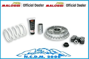 VARIATORE MALOSSI MULTIVAR 2000 KYMCO XCITING R 500 ie 4T LC euro 3 (SB A0) - Imagen 1 de 4
