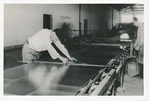 ARGENTINE c. 1952 - Manufacture de Vitrages   - P 701 - Foto 1 di 2