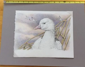 Sherrie Meline, Federal Duck Original Bleistiftzeichnung, Entendesign. RW73,2006. - Bild 1 von 12