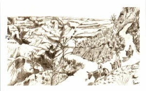 AZ 70th Anniversary 1989 Postcard Mule Train Eme Grand Canyon Stamp Postmark - Foto 1 di 2