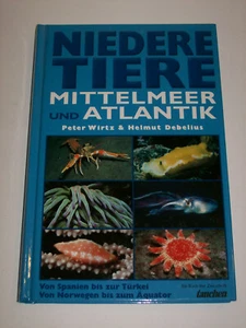 Niedere Tiere Mittelmeer und Atlantik von Peter Wirtz und Helmut Debelius (2003) - Bild 1 von 4