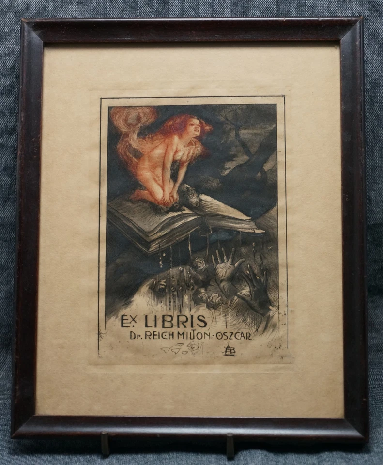 ANTIQUARIAN BOOKPLATE Dr. Milton Oscar Reich - Framed Circa 1910 - EROTIC Foto 1 de 4