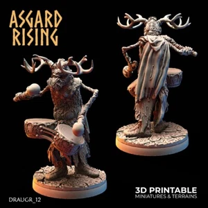 Asgard Rising | DRAUGR 12 – DRAUGR Barrow Guard 32mm | D&D TTRPG - Picture 1 of 1