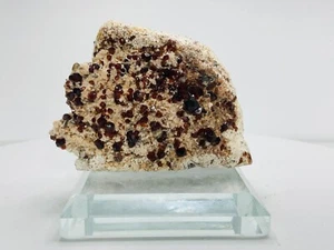 Garnet Spessartine garnet crystals On Matrix Guangxi Mine China-345ct Glass Base - Picture 1 of 15