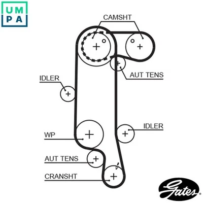TIMING BELT 5565XS FOR SKODA OCTAVIA/II/Combi LAURA ROOMSTER/Praktik FABIA  VW - Image 1 of 4