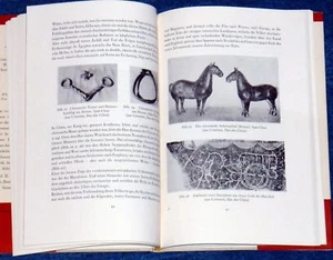 Tankred Koch: Zur Geschichte des Pferdes (1961) * - Picture 1 of 1