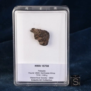 3,77g NWA 15738 Meteorit - Pallasit Siderolith im Karton - Bild 1 von 10