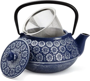 Japanese Cast Iron Teapot with Infuser for Loose Leaf and Tea Bags, Kettle Inclu - Picture 1 of 12