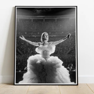 Celine Dion Foto/Poster bis 30 Zoll - Bild 1 von 2