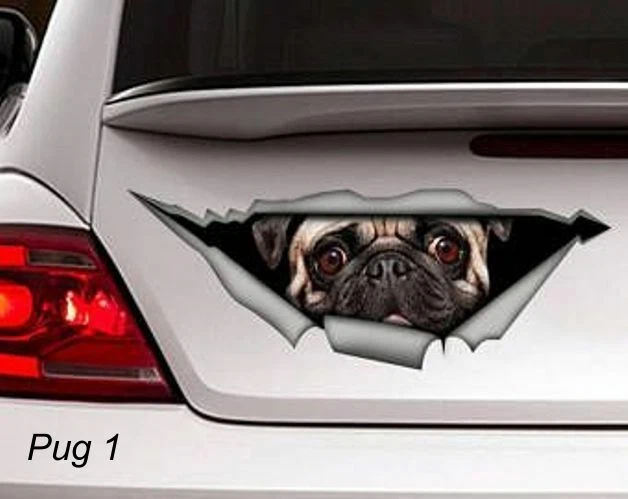 LARGE-SIZED CAR DECALS - PUG - 2 CHOICES - Image 1 of 3